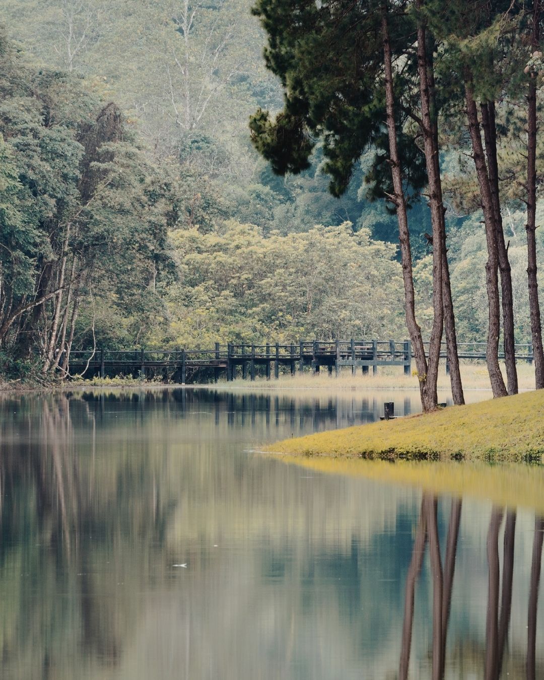 Serene Almaty