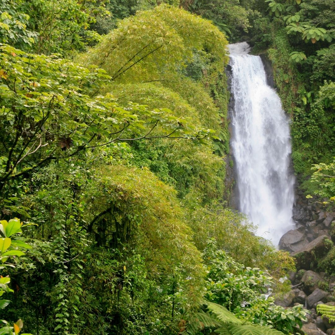 Dominica