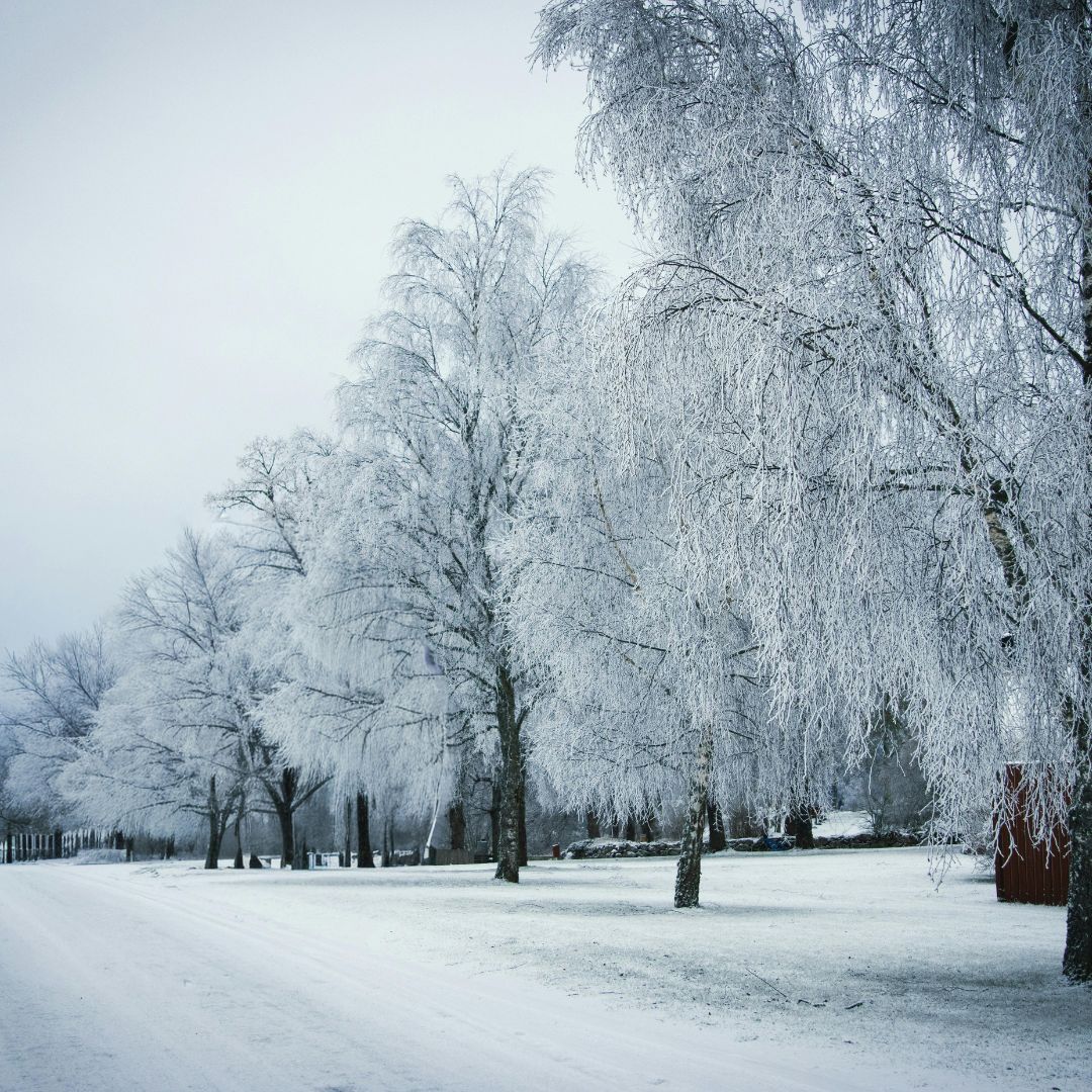 Moscow Winter