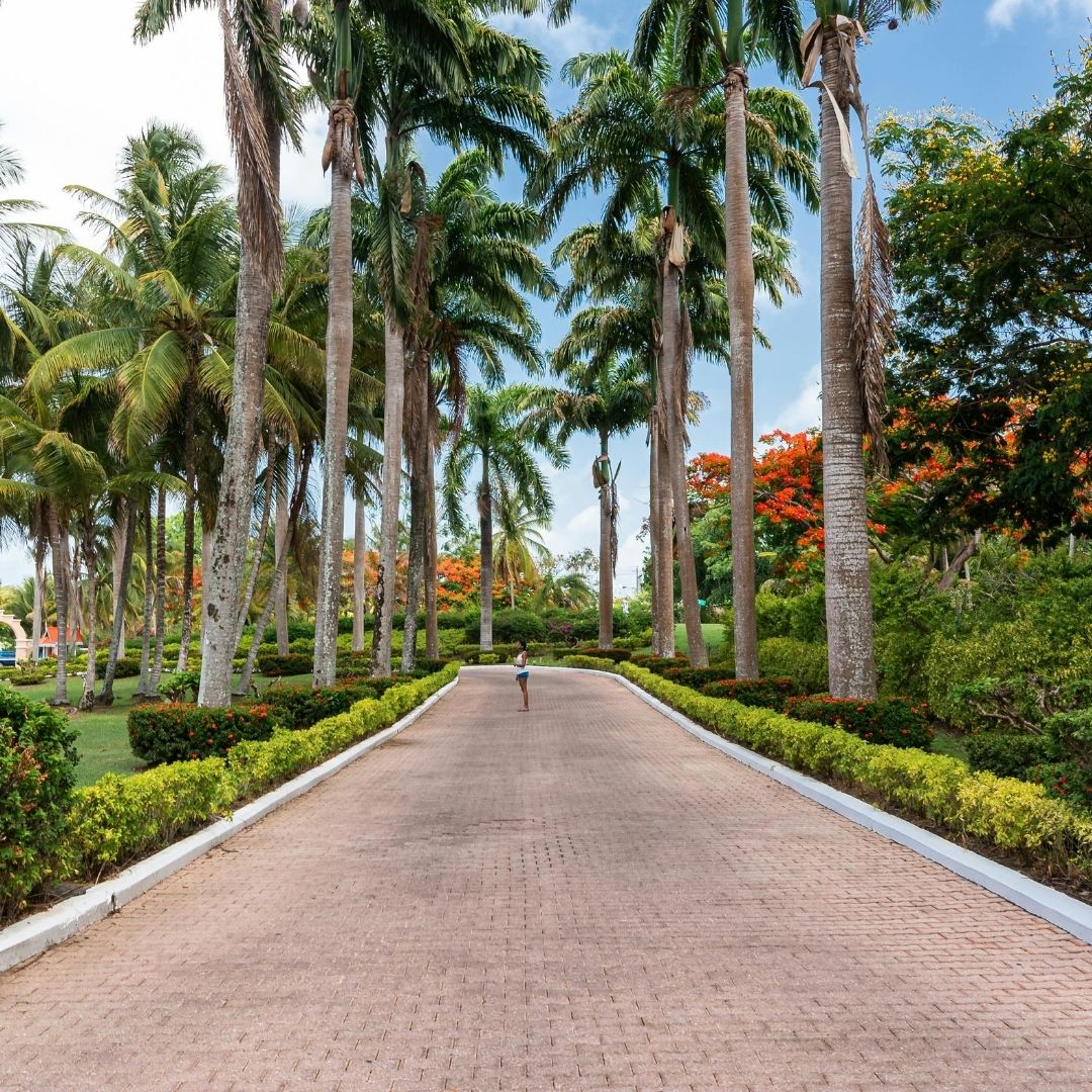 Trinidad & Tobago