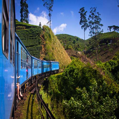 Nuwara Eliya Tea Plantations