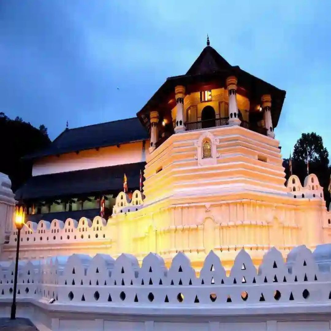 Pinnawala Elephant Orphanage - Kandy